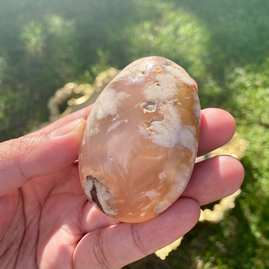 Extra Large Flower Agate Palmstone