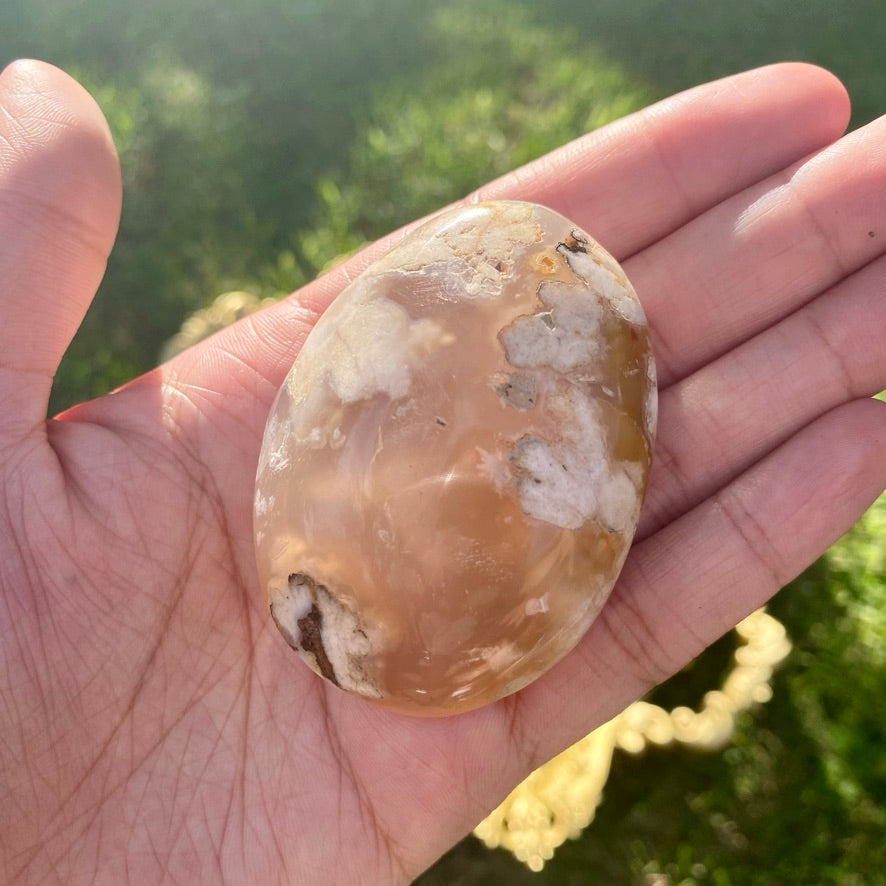 Extra Large Flower Agate Palmstone