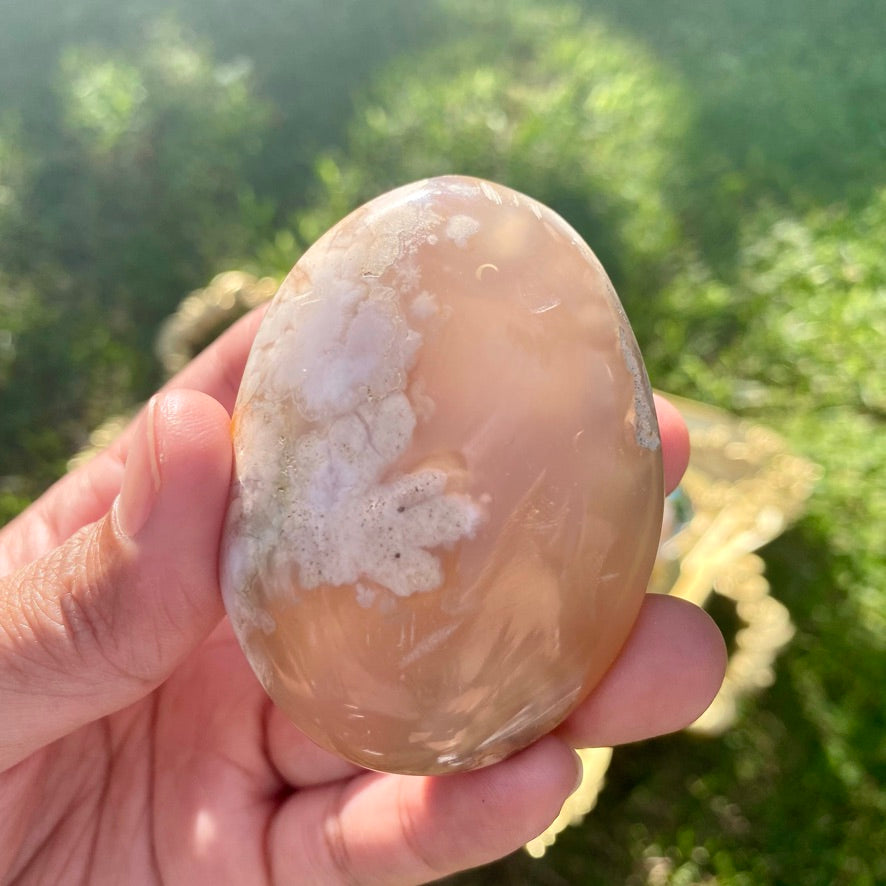 Extra Large Flower Agate Palmstone